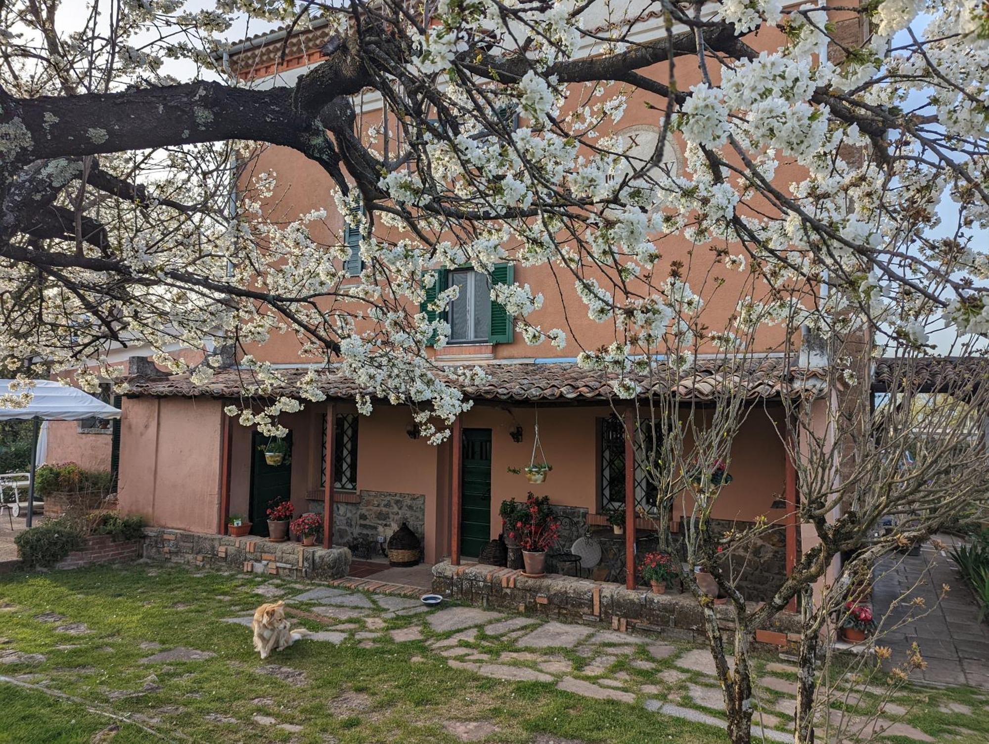 Dimora Marella Patrica - Frosinone Hotel Exterior photo