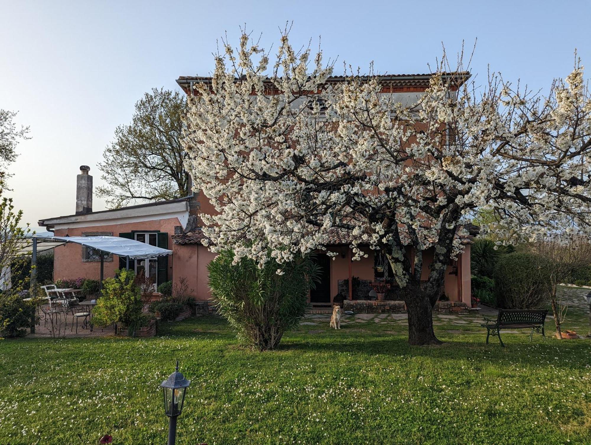 Dimora Marella Patrica - Frosinone Hotel Exterior photo